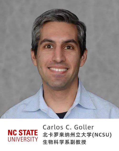 Carlos C. Goller. CREDIT: NCSU