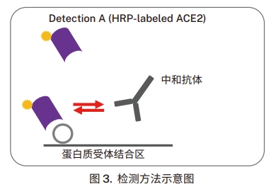 檢測(cè)方法示意圖