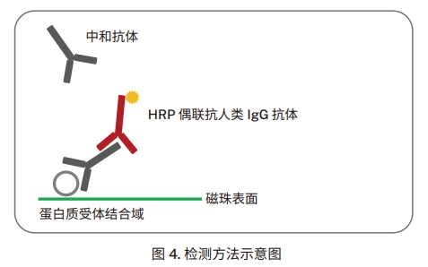 檢測(cè)方法示意圖
