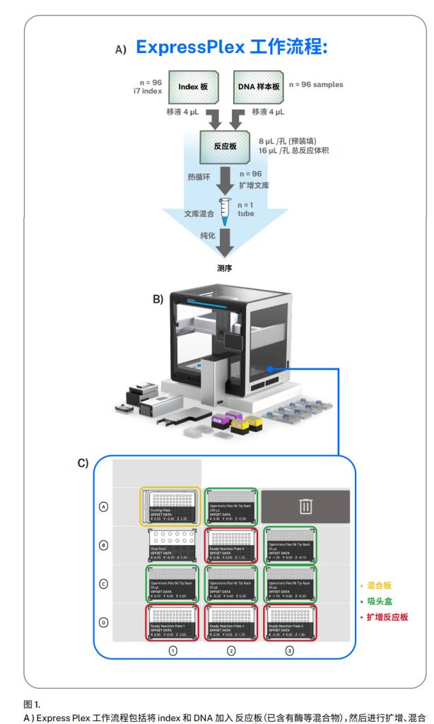 Opentrons Flex 自動化移液工作站24 小時(shí)全程自動化輕松制備高達(dá) 384 個(gè)質(zhì)粒文庫