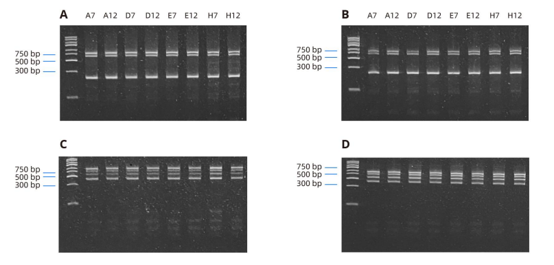 在OT-2上的實(shí)驗(yàn)數(shù)據(jù)
