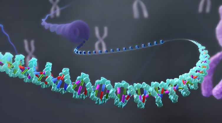 微生物樣本前處理系統(tǒng)