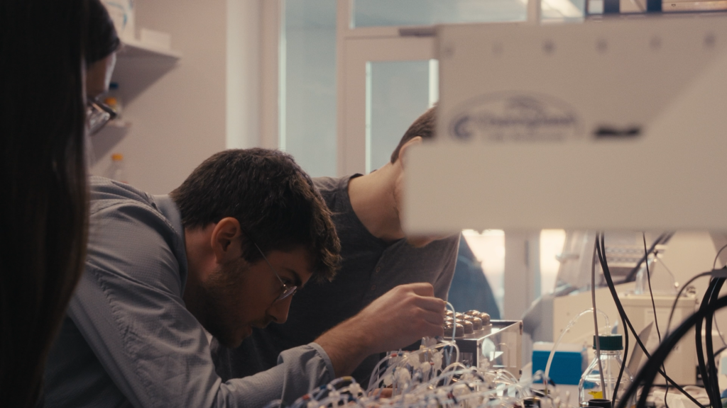 蛋白質(zhì)濃度標(biāo)準(zhǔn)化:Flex Prep 給你省時又精準(zhǔn)的選擇